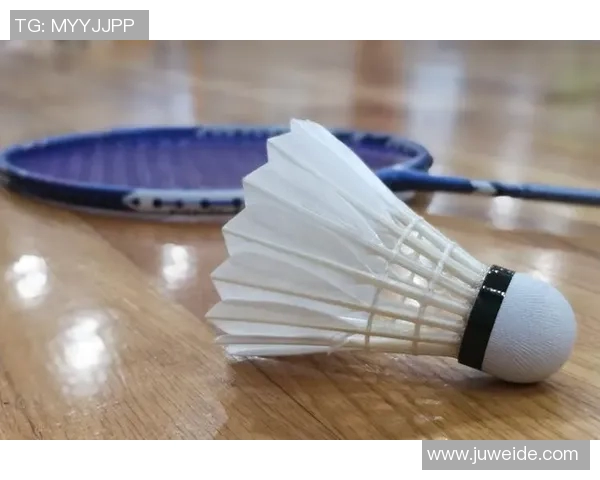 南京羽毛球队包夹战术解析与热点讨论