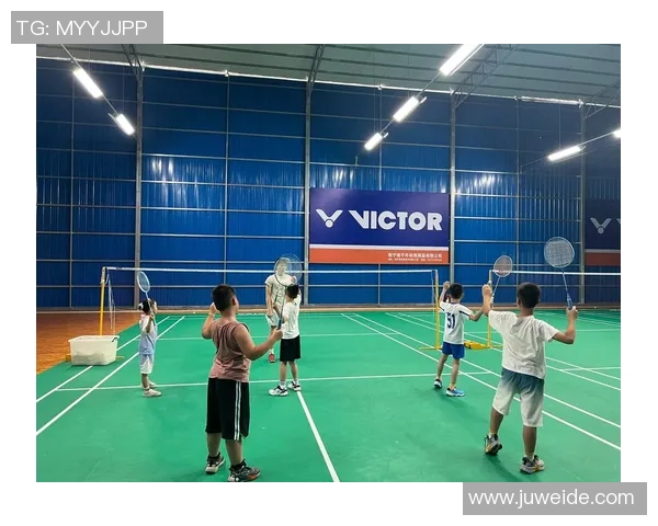 南京羽毛球队的崛起与发展：探索羽毛球运动的力量与魅力