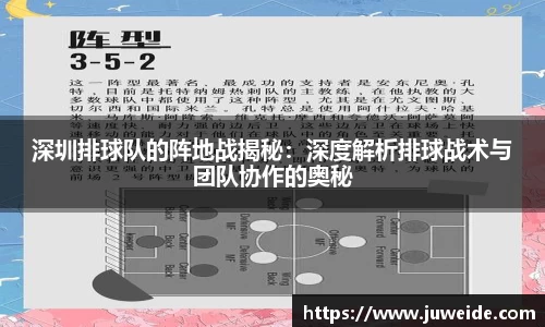 深圳排球队的阵地战揭秘：深度解析排球战术与团队协作的奥秘